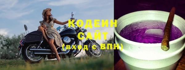 гидра Арсеньев