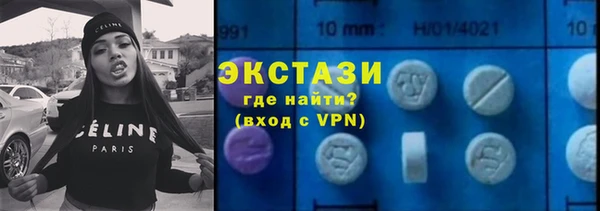 гидра Арсеньев