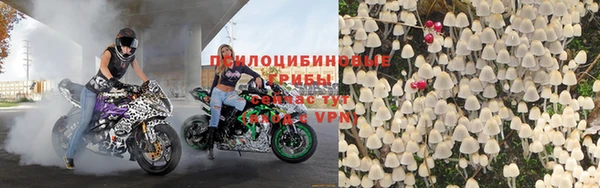 гидра Арсеньев