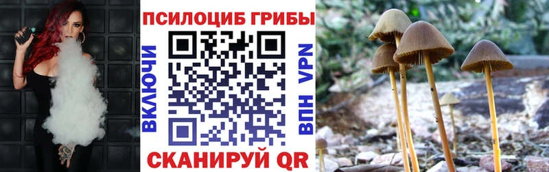 блэк спрут ТОР  Колпашево  Псилоцибиновые грибы мухоморы 