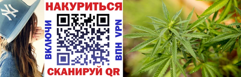 где купить наркоту  Колпашево  Бошки марихуана LSD WEED 